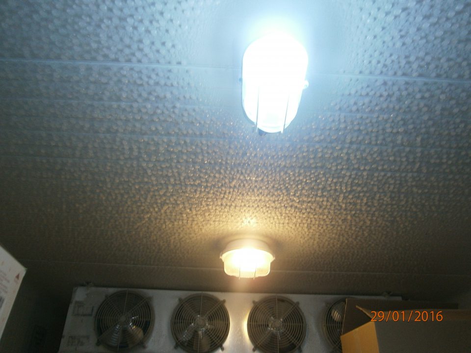 Výrazná námraza na strope a podlahe mraziaceho zariadenia.