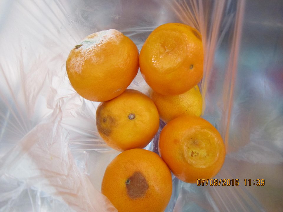 Predaj ovocia nevhodnej na ľudskú spotrebu z dôvodu výskytu plesne a hniloby. 