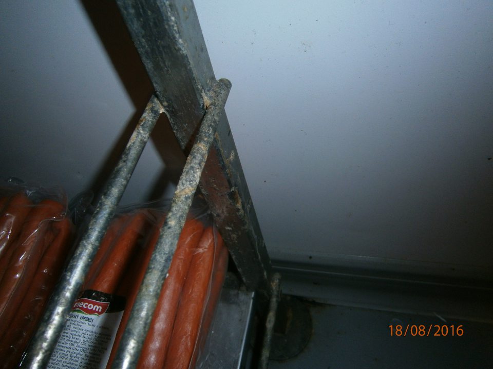 V chladiacom sklade mäsových výrobkov znečistené bočné strany regálov plesňou.