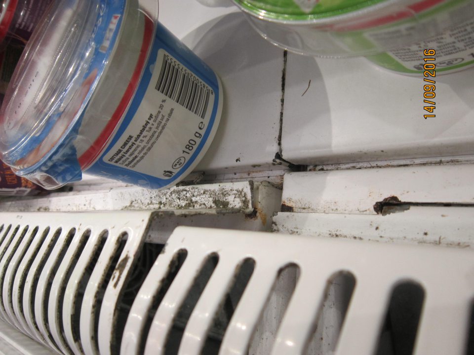 V predajni chladiaca vitrína na mliečne výrobky znečistená plesňou, zatečená, s poškodeným povrchovým náterom.