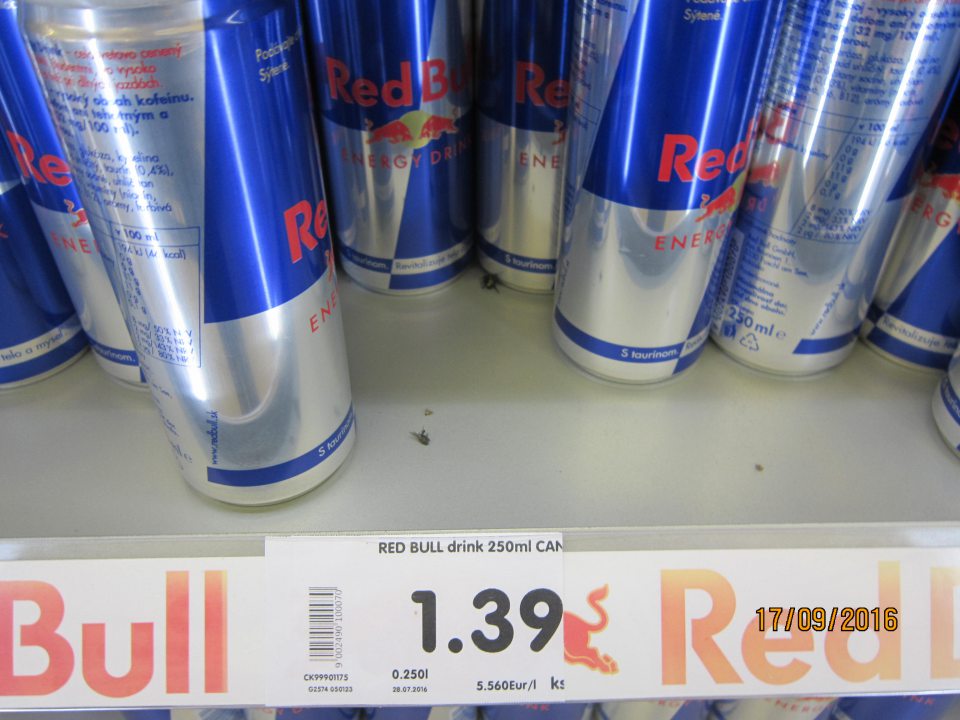 V priestoroch prevádzkarne výskyt uhynutého hmyzu. 