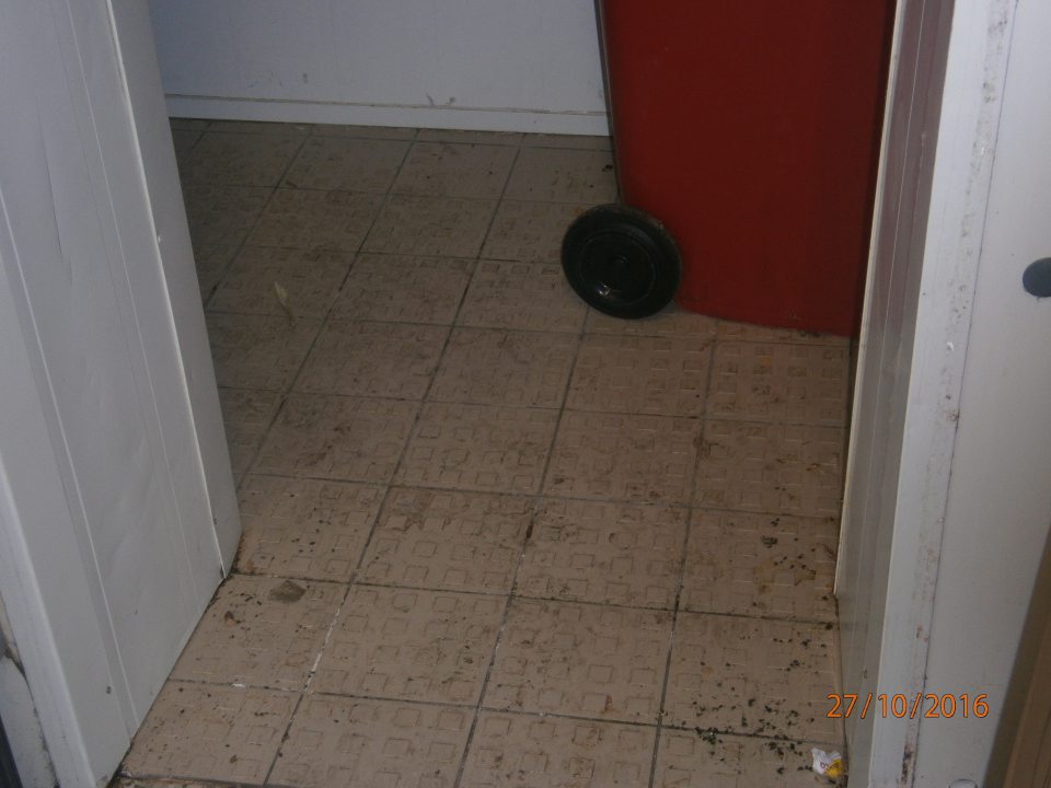 V sklade živočíšnych vedľajších produktov prevádzky výskyt uhynutého hmyzu, znečistená podlaha a strop.