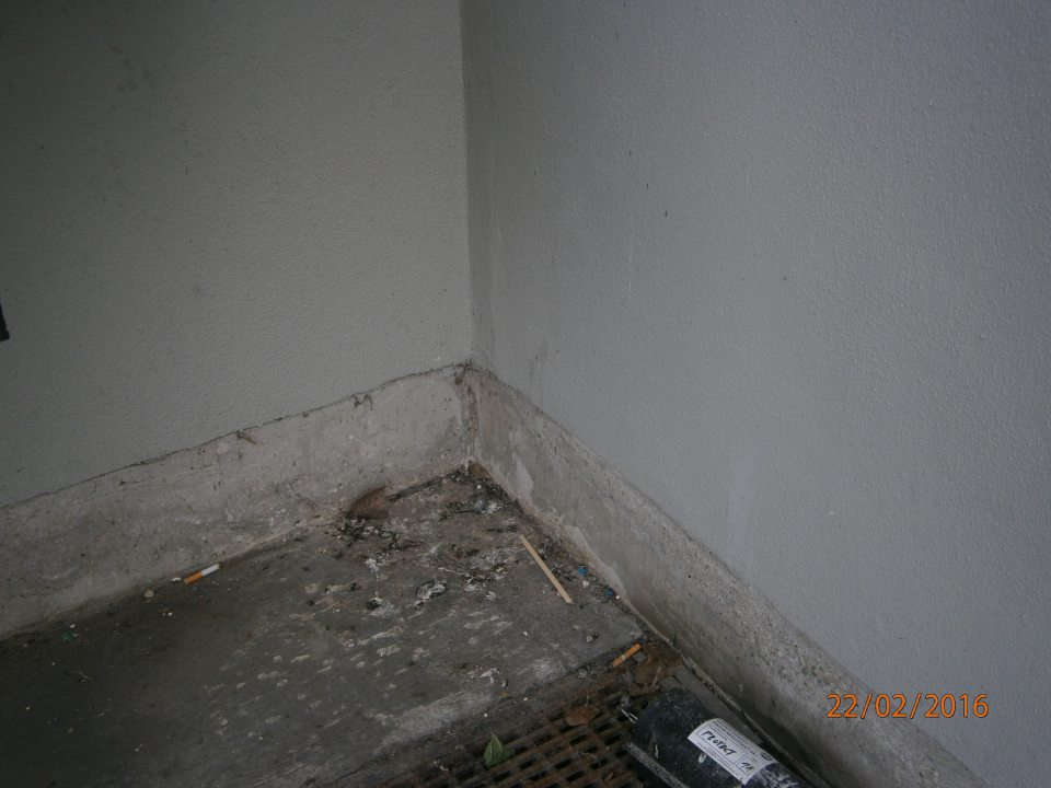 Pod príjmovou rampou trus vtákov, nad rolovacou bránou hniezdenie holubov.