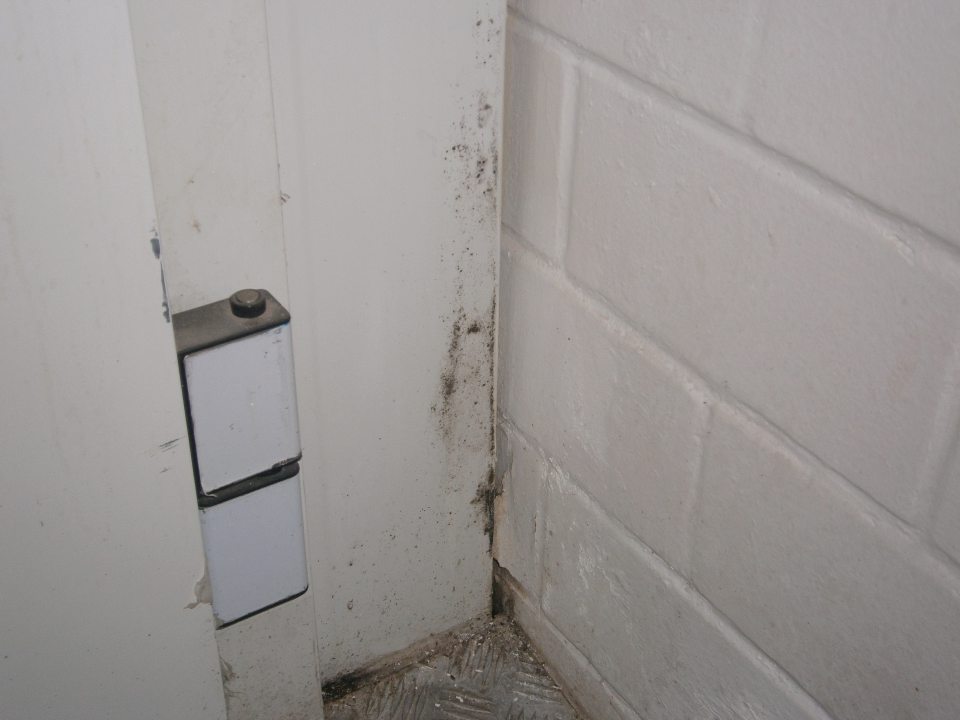 V mraziarenskom sklade prevádzky plesňou znečistená stena.