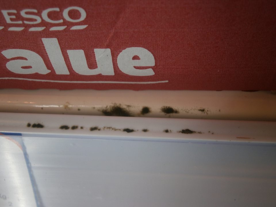 V predajni znečistený priestor a výskyt plesne pod lištami s cenovkami.