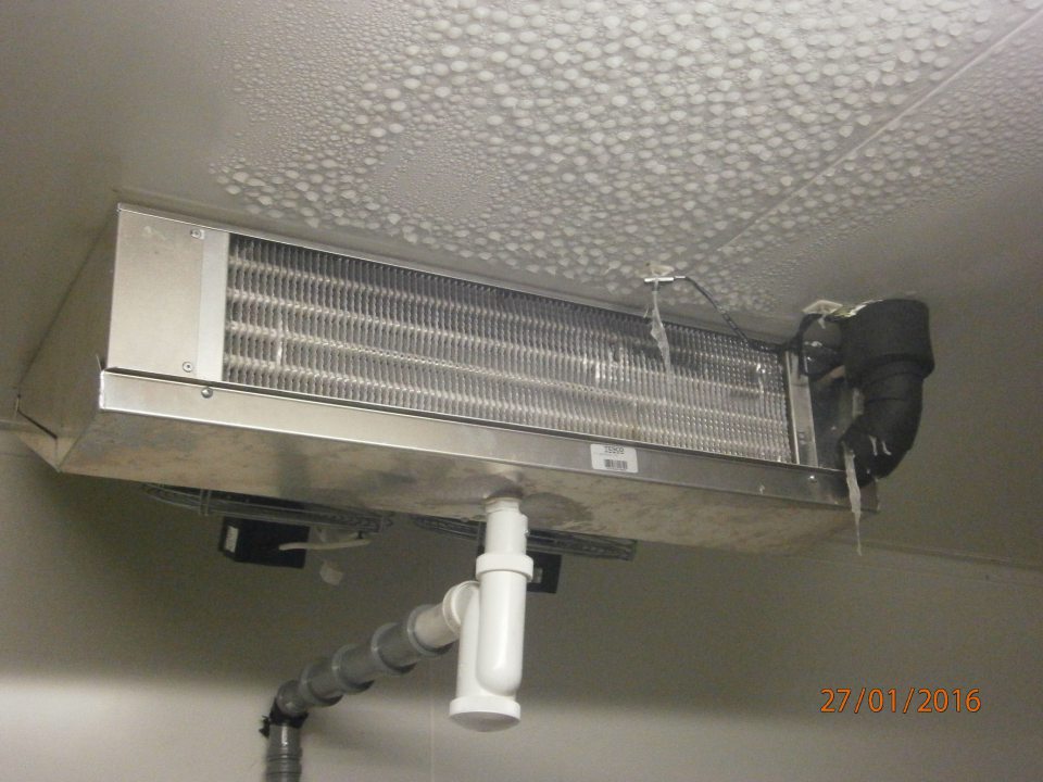 V mraziacom boxe námraza na strope.