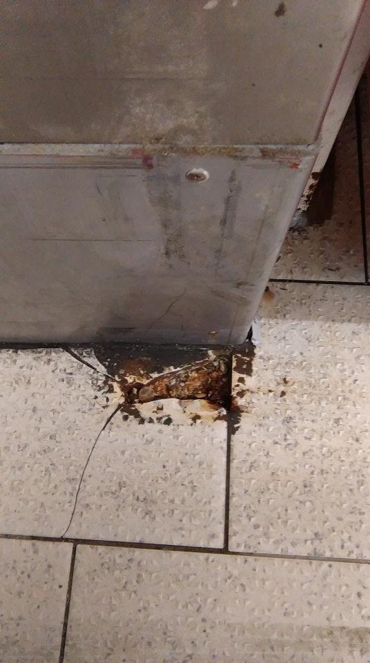 V chladiacom boxe mliečnych výrobkov - pri vstupe poškodená celistvosť podlahy.