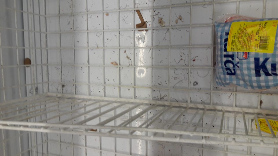 V mraziacej vitríne - znečistená úložná plocha s uloženou mrazenou hydinou.