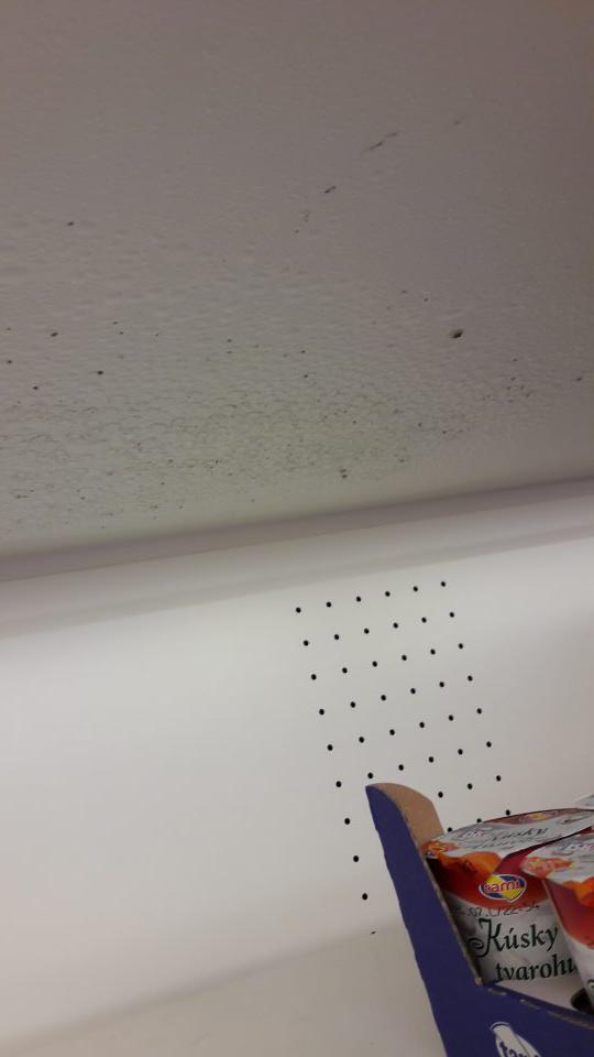 V prevádzke plesňou znečistený na strop chladiaceho zariadenia.