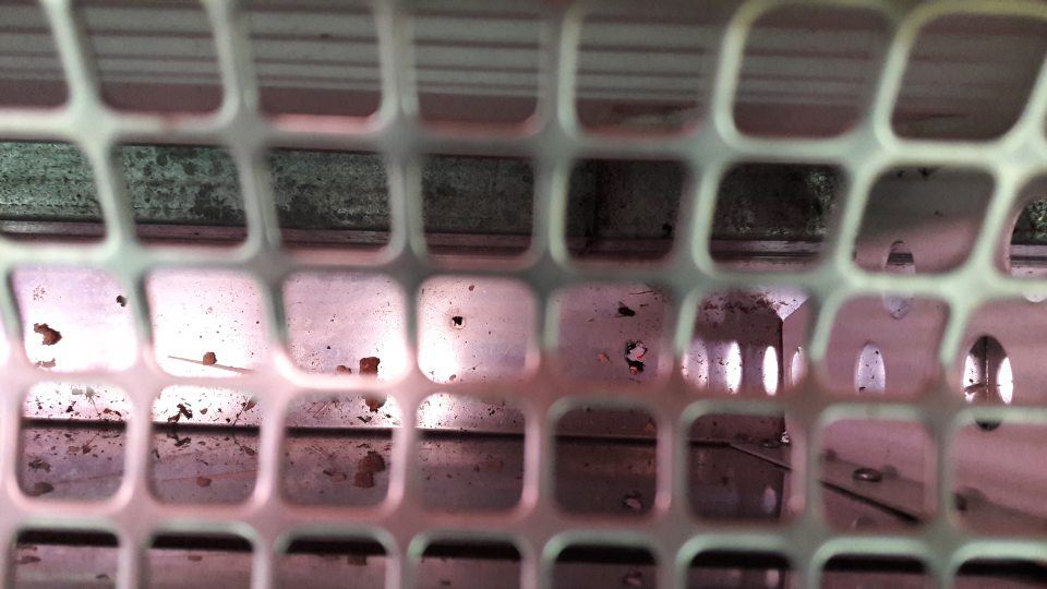 V prevádzke znečistený priestor pod mriežkou chladiacej vitríny s mäsovými výrobkami.