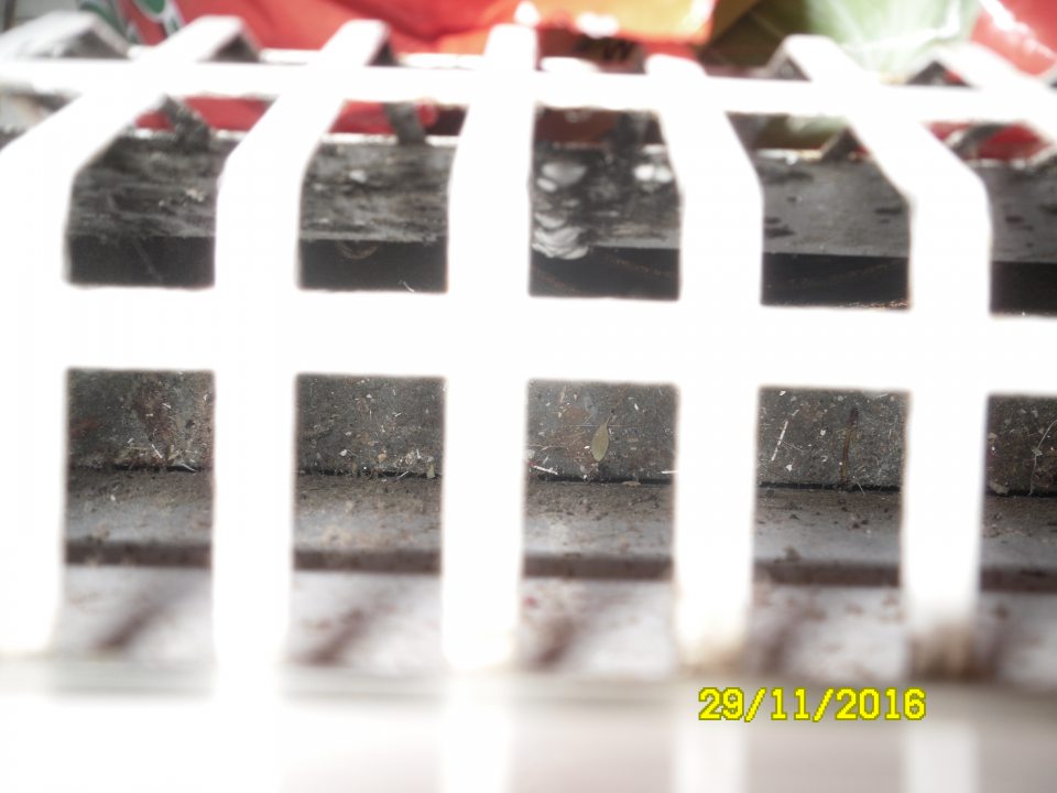 Výskyt nečistôt pod mriežkami v chladiarenskom zariadení.