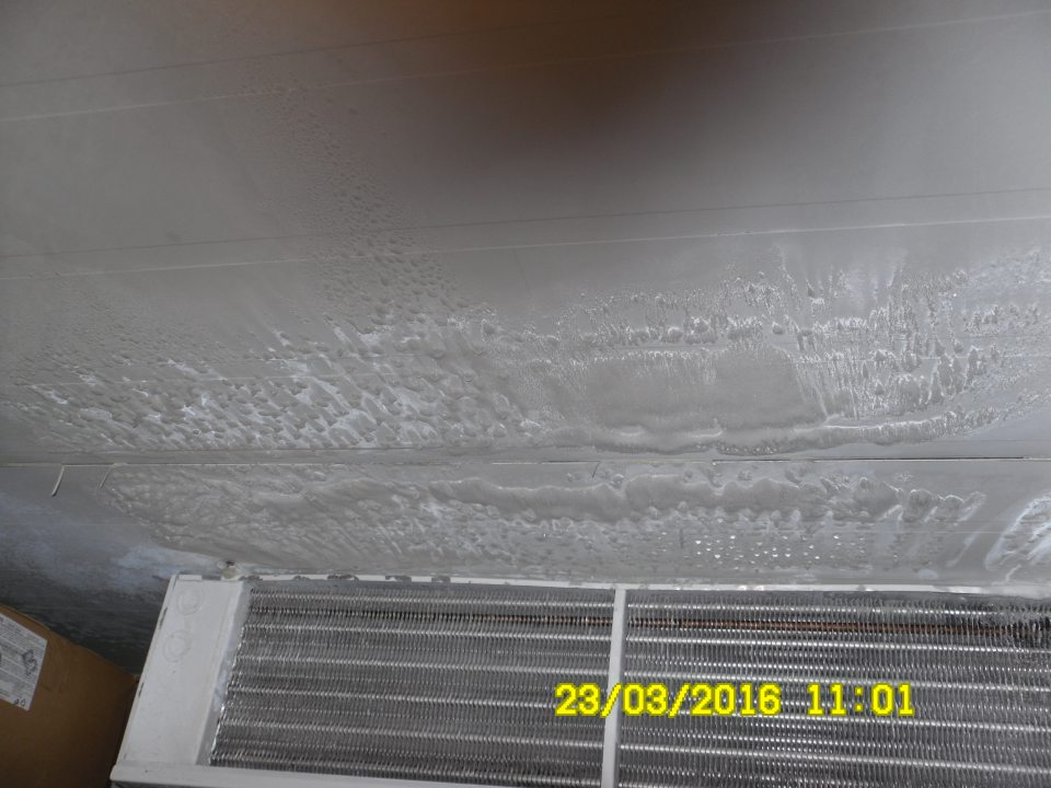 Zamrznutý kondenz na strope v mraziarenskom boxe s uchovávanými mrazenými potravinami.