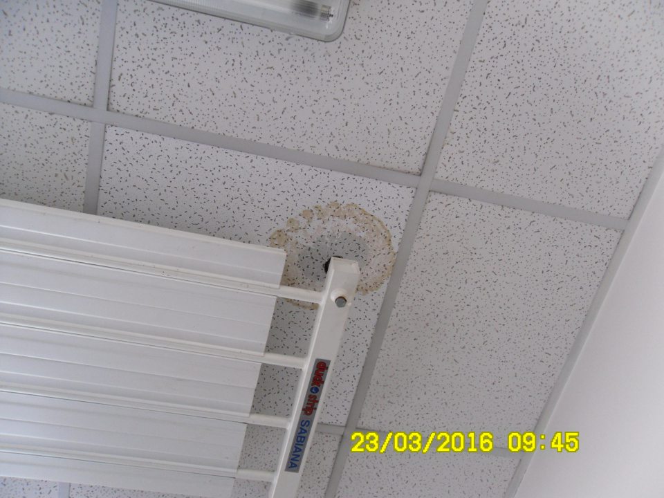 V zázemí v oddelení lahôdok(manipulačnej miestnosti)zatečená stropná kazeta.