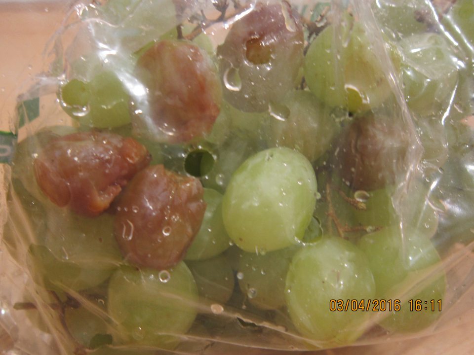 Predaj čerstvého ovocia (hrozno biele) nevhodného na ľudskú spotrebu - výskyt hnilobného procesu