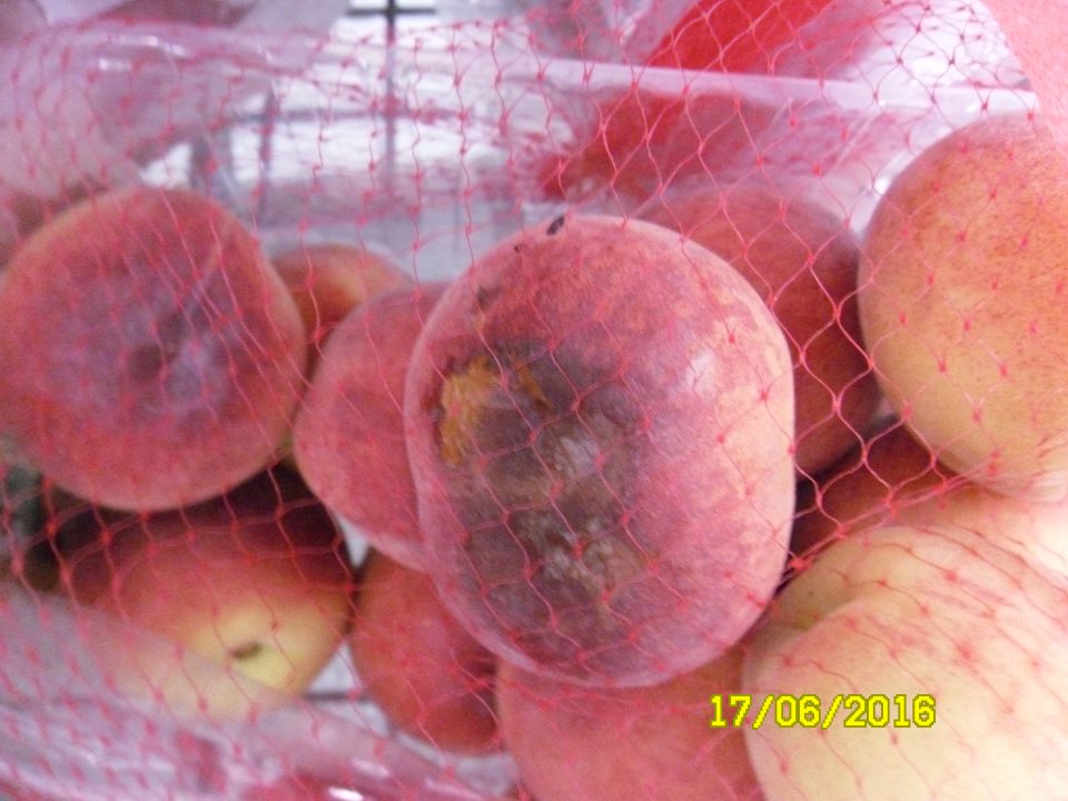 Predaj čerstvého ovocia nevhodného na ľudskú spotrebu s výskytom hniloby a plesne. 