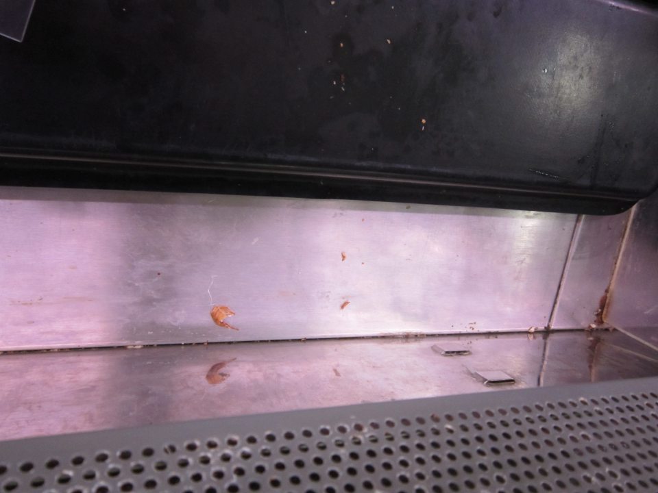 V prevádzke, v oddelení lahôdok znečistená chladiarenská vitrína.