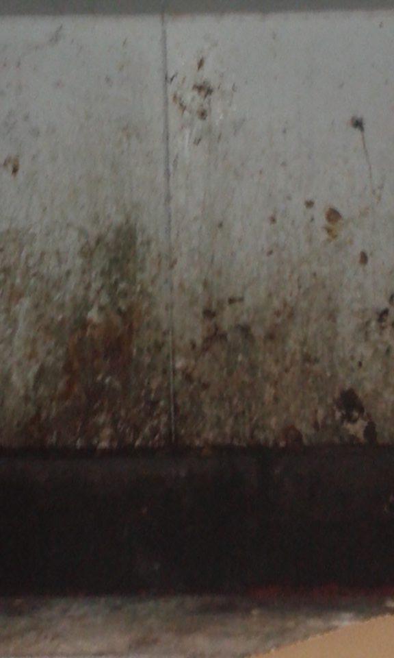 V prevádzke znečistené okolie kontajnera na komunálny odpad.