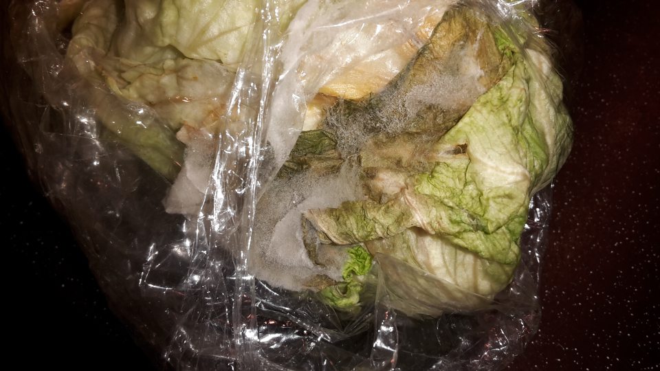V chladiacom zariadení skladovaná senzoricky zmenená zelenina (ľadový šalát s výskytom plesne a hniloby) a lahôdkárenské šaláty a suroviny na výrobu bagiet.