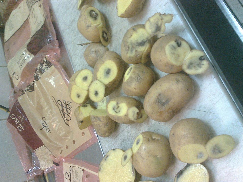 Predaj konzumných zemiakov nevhodných na ľudskú spotrebu.