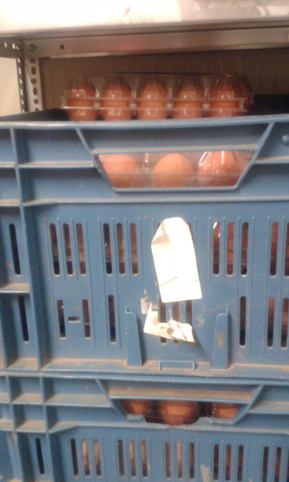 Slepačie vajcia skladované v zázemí predajne v chladiacom boxe v plastových prepravkách od zeleniny, ktoré sú znečistené hrubými nánosmi zeminy a prachu.