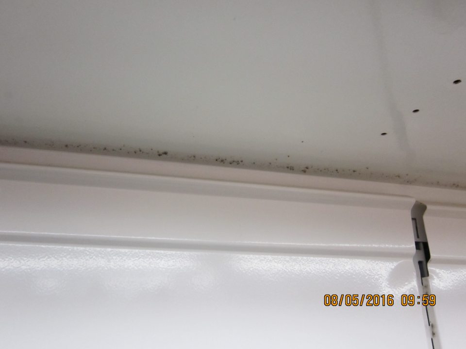 Čierna pleseň v hornej časti chladiarenského regálu na predajnej ploche.