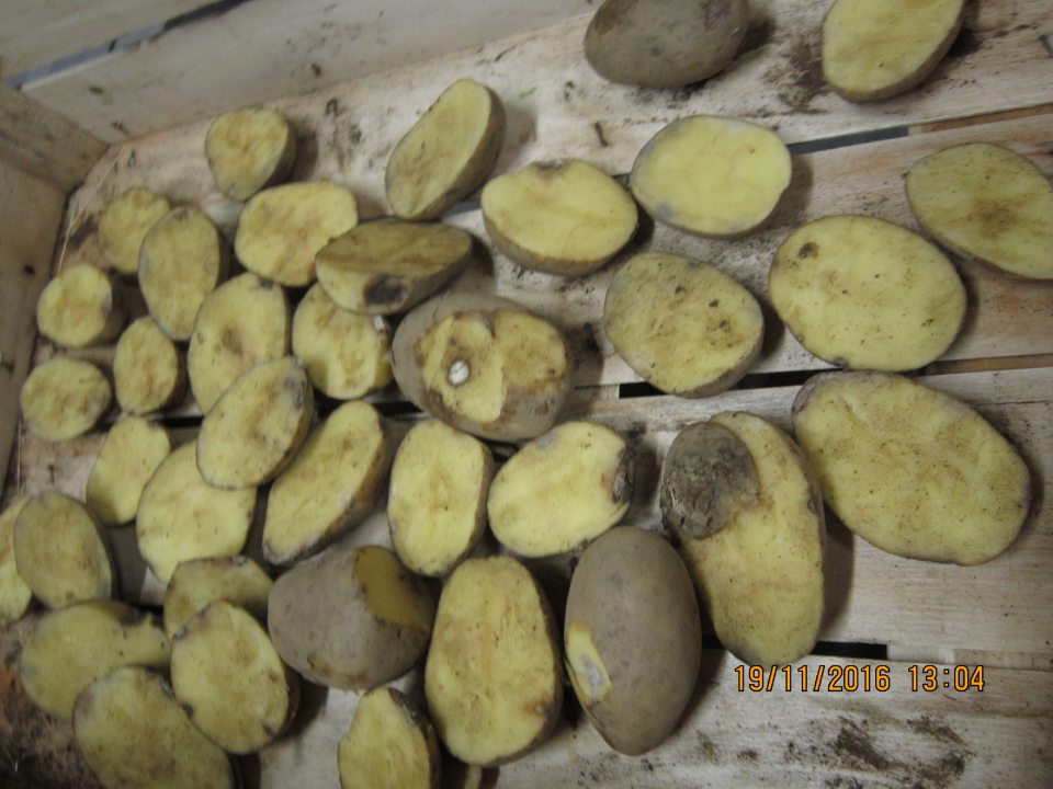 Predaj tovaru nevhodného na ľudskú spotrebu.
