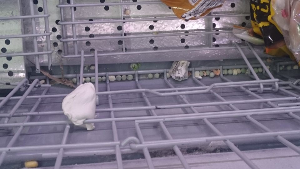 Znečistené všetky mraziace zariadenia na predajnej ploche.