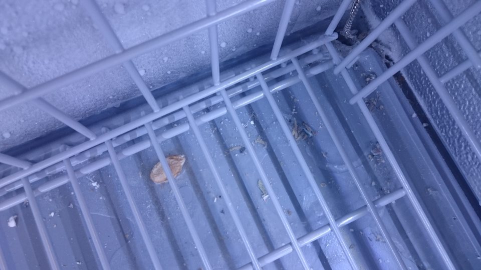 Znečistené mraziace zariadenie.