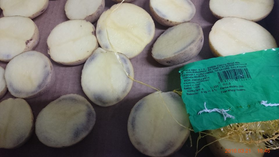 Zemiaky po nakrojení vykazujú vo vnútri dužiny čierne škvrny.