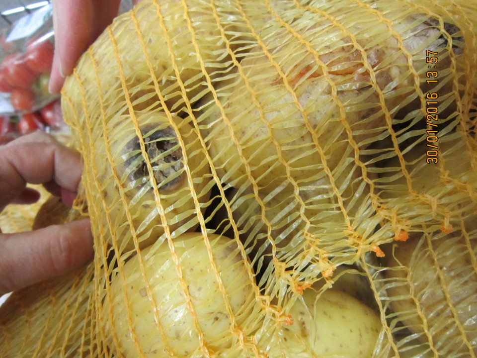 Predaj zemiakov napadnutých suchou a mokrou hnilobou.