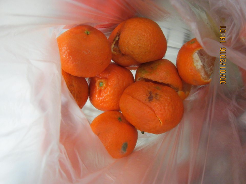 Predaj ovocia a zeleniny s výskytom hniloby a plesne.