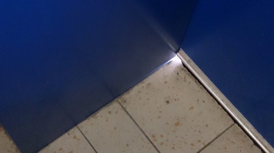 Dvere v sklade prevádzky nie sú dostatočne zabezpečené voči vnikaniu hmyzu a hlodavcov.