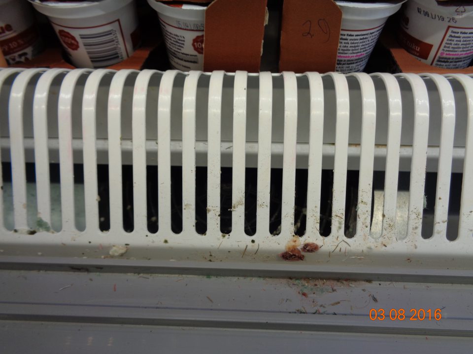 Chladiarenská vitrína na predajnej ploche s mliečnymi výrobkami znečistená prachom a drobnými nečistotami.