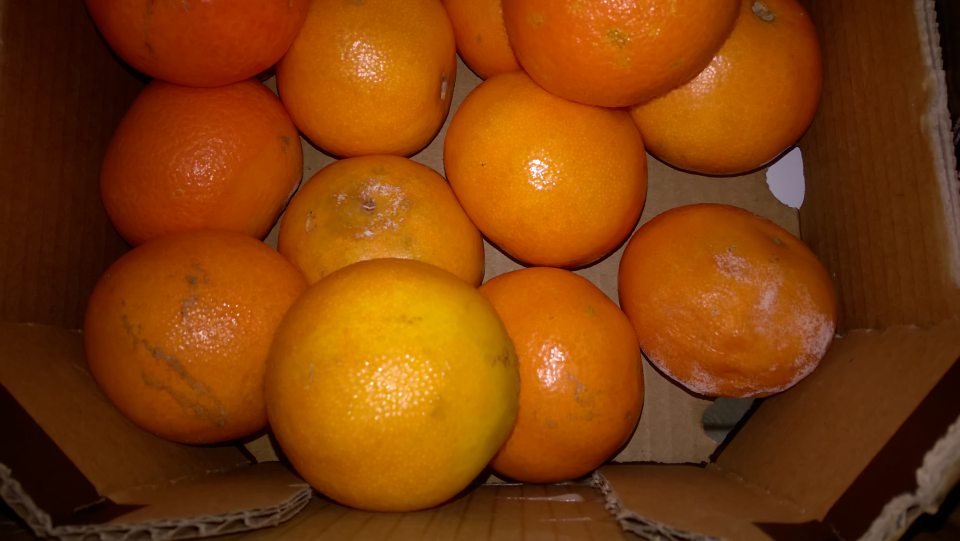 Predaj ovocia nevhodného na ľudskú spotrebu.