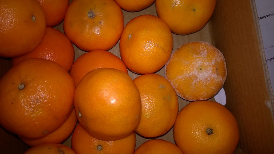 Predaj ovocia nevhodného na ľudskú spotrebu.