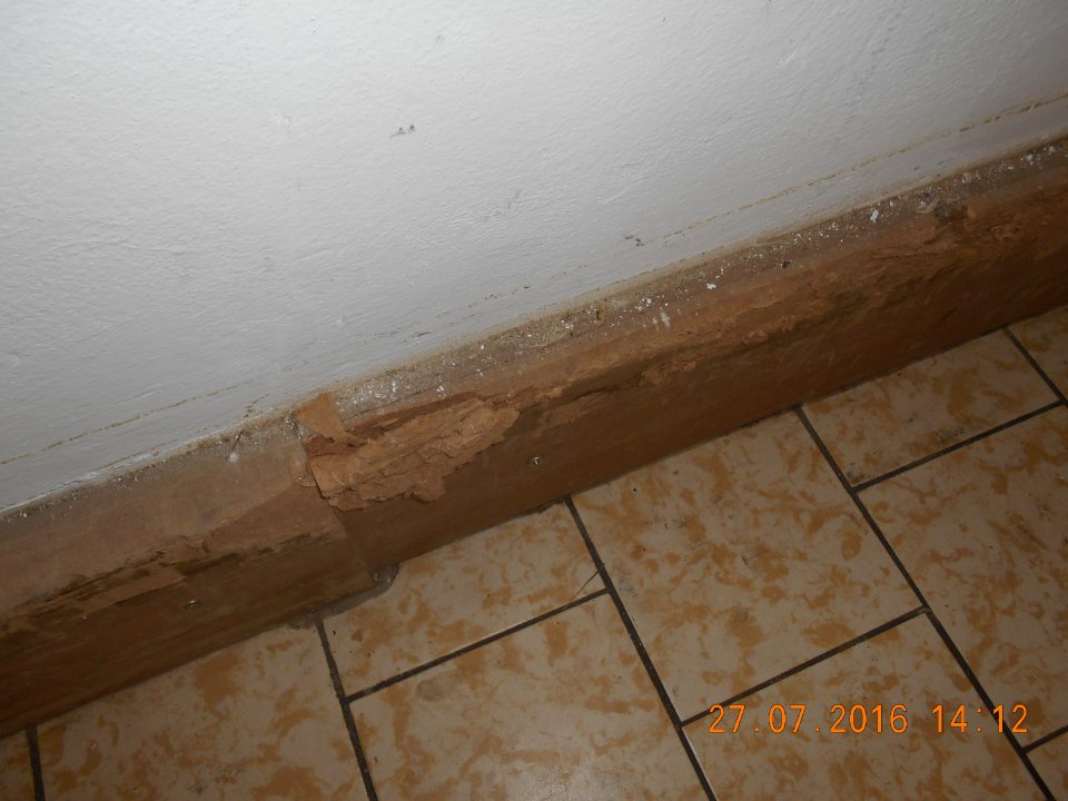 V sklade potravín poškodená drevená lišta a znečistená maľovka.