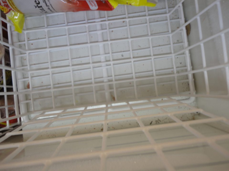 Znečistené mraziace zariadenie na predajnej ploche.