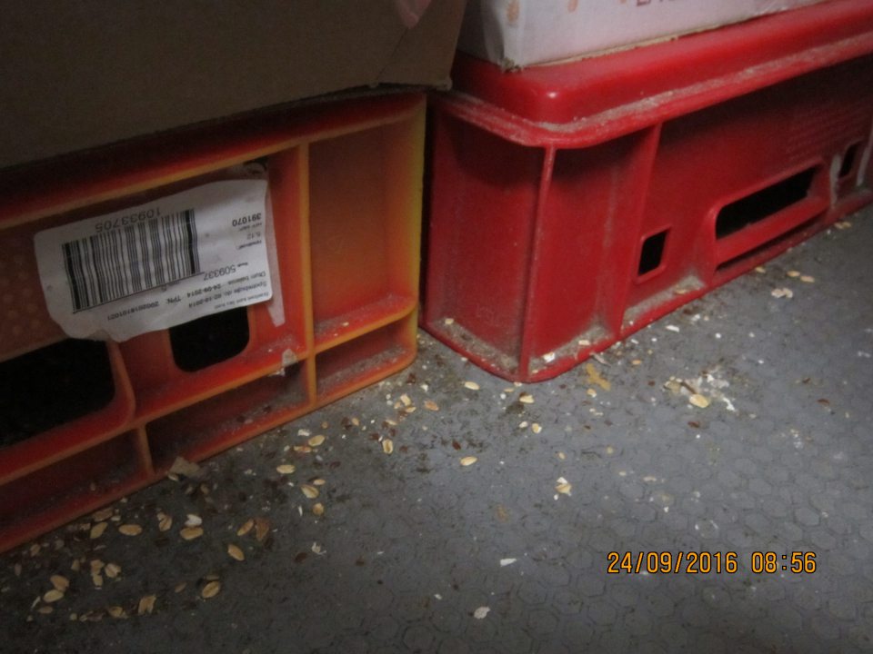 V mraziacom boxe v zázemí prevádzky znečistené prepravky  a na podlahe napadané nečistoty.  