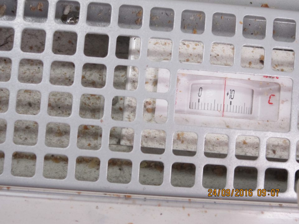 Na predajnej ploche v chladiacej vitríne pod mriežkou napadaný prach, nečistoty.