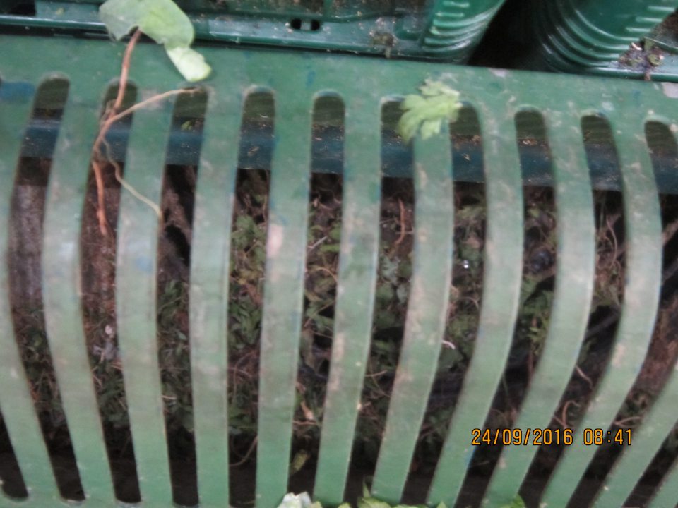 Na predajnej ploche v chladiacej vitríne pod mriežkou napadané nečistoty a vňate zo zeleniny. 