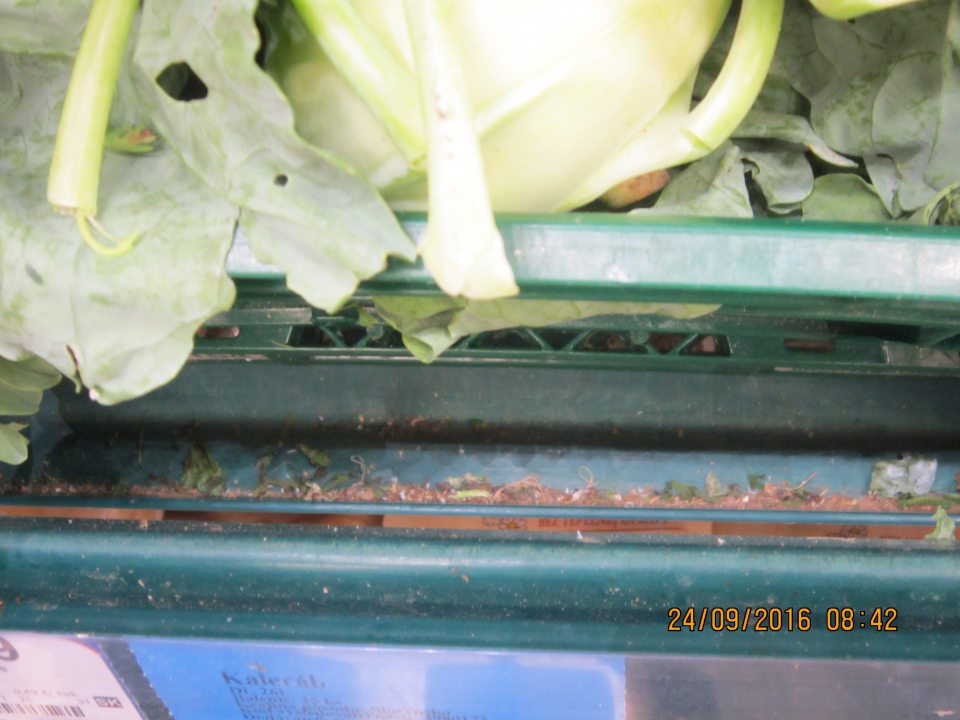 Na predajnej ploche v chladiacej vitríne na regále napadané suché zvyšky rastlín a iné nečistoty.