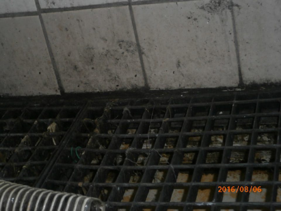 Znečistená mriežka a dlažba kamalizačnej vpuste.