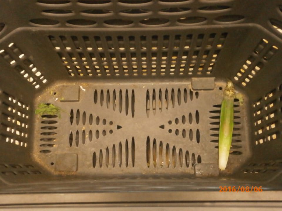 V predajni znečistené nákupné koše.