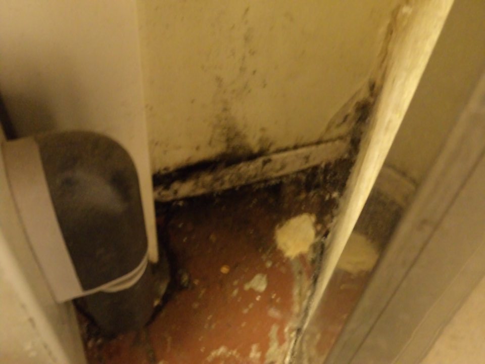 V prevádzke na povrchu mraziaceho boxu na mrazené pekárske polotovary výskyt plesne. 