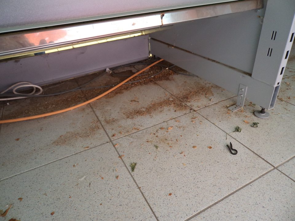 Na predajnej ploche znečistená podlaha pod regálom s ovocím,zeleninou a cereálnymi výrobkami.