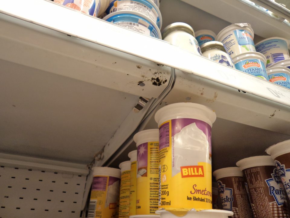Na predajnej ploche na spodnej strane regálov s mliečnymi výrobkami výskyt plesne. 