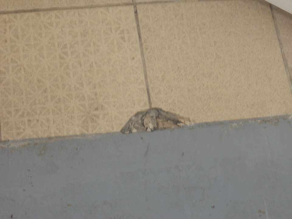  Poškodená dlažba na vstupe do prípravovne mäsa