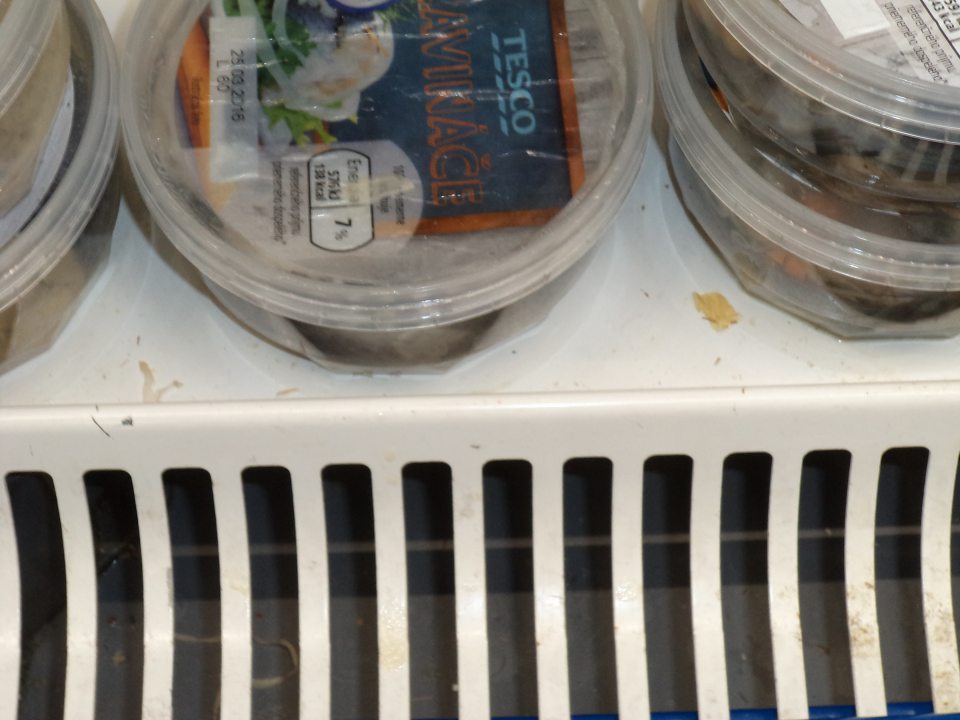  Znečistená ložná plocha chladiacej vitríny s rybacími výrobkami