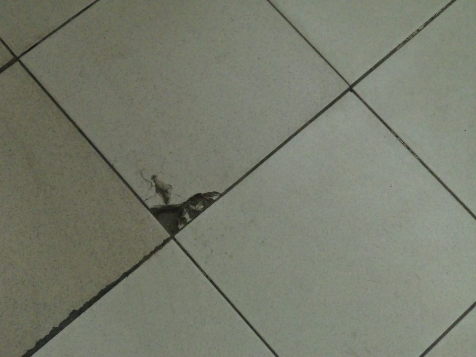 Poškodená dlažba pred regálom so zľavnenými potravinami v predajni