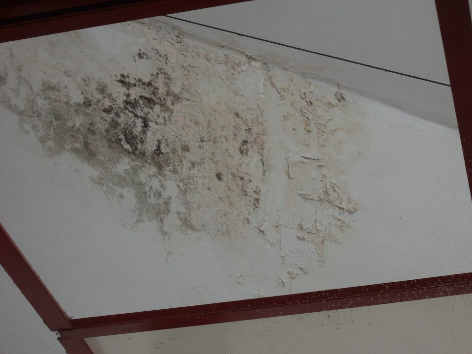 Poškodené,zatečené a zaplesnené steny pri vstupe do predajne 